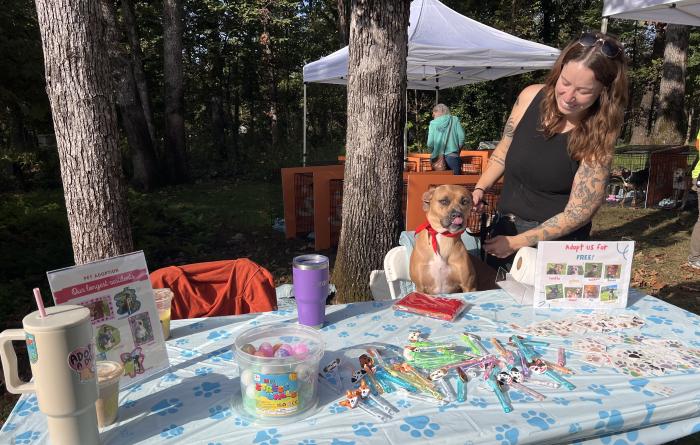 Person with Cashew the dog at the Independence Animal Services table at the super adoption