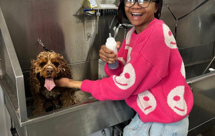 Kyra washing a dog in a sink