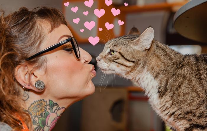 Person kissing a tabby cat with heart graphics over them