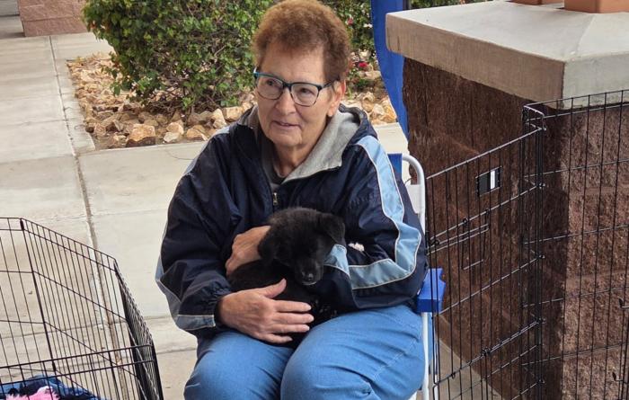 Person holding a puppy outside at an adoption event