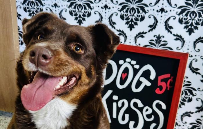 Lil Debbie the dog sitting beside a sign that says, 'Dog kisses'