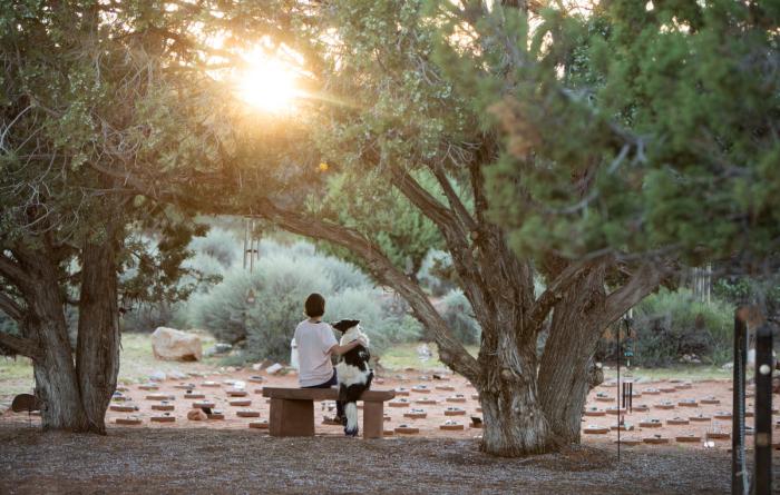 Person hugging a dog while seated at a bench under trees at Angels Rest