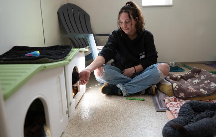 Person sitting down and reaching out to Righty Tighty the cat, who is in an enclosed area