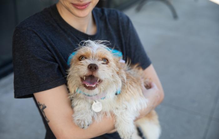 Person holding a happy dog in her arms