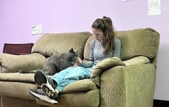 Person sitting on a green reclining couch beside a gray cat