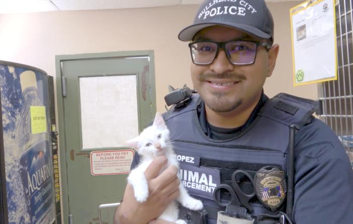 Person at Bullhead City shelter in Arizona holding a white kitten