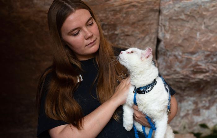 Person holding a cat looking up at them
