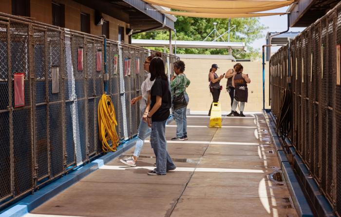 Multiple people in a outside corridor looking into dog kennels