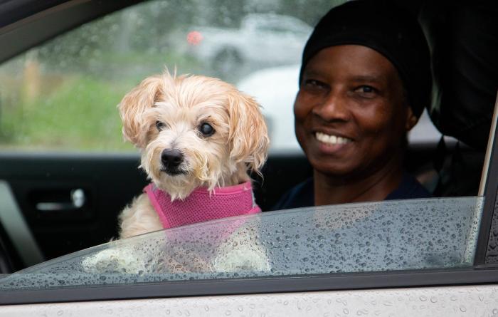 Smiling person with a small dog wearing a pink bandanna in a vehicle