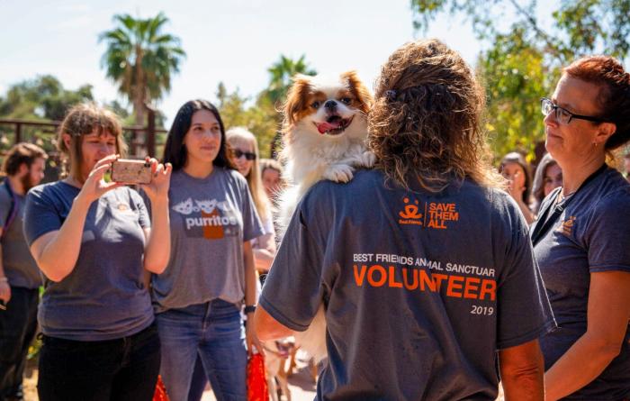 Person wearing a volunteer T-shirt with a dog on the person's shoulder, while another person takes a photo