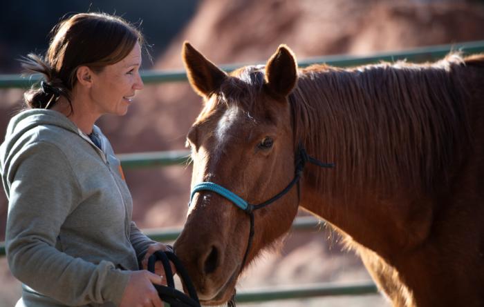 Person beside a brown horse