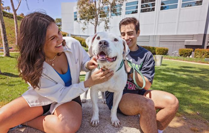 A white pit-bull-type dog with two people smiling and holding him