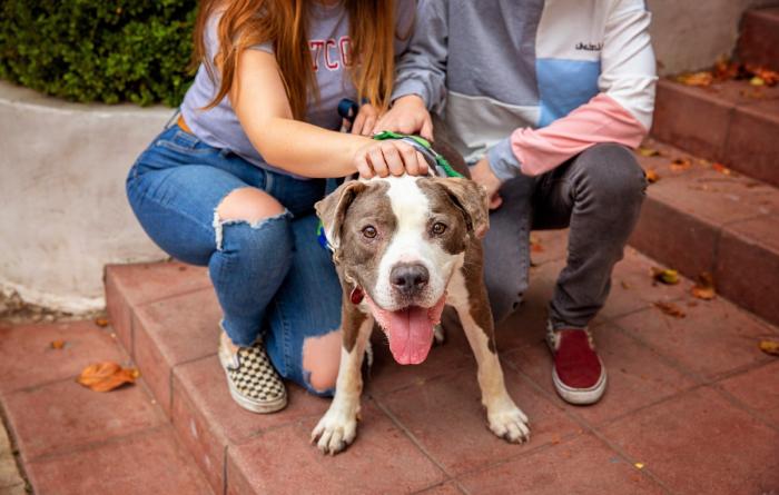 Happy dog with tongue out with two people behind him sitting on some brick stairs