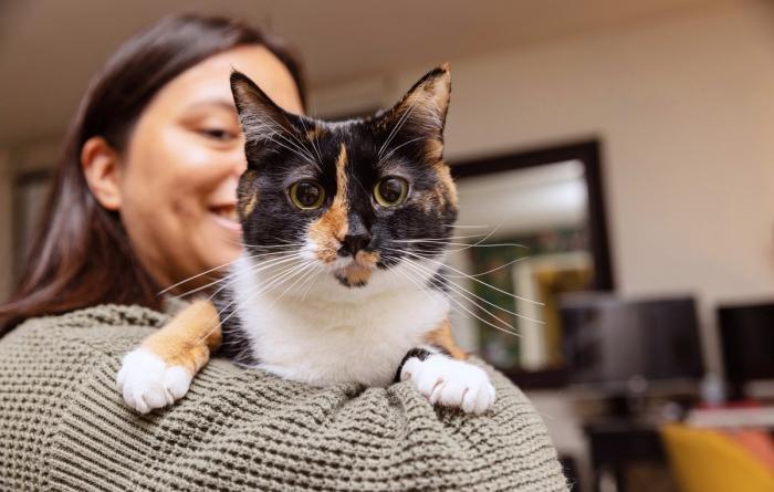 Smiling person holding a calico cat up on her upper arm