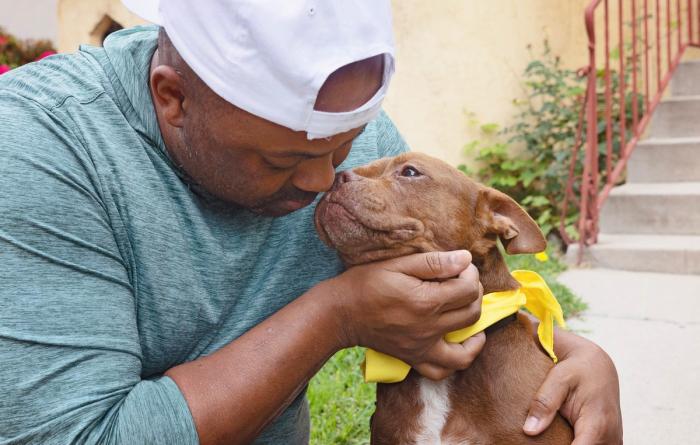 Person wearing a hat hugging a brown and white dog
