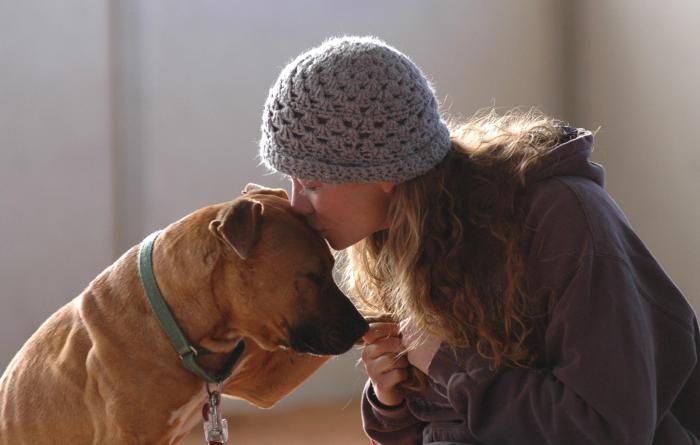 Person wearing a knit hat kissing the top of Oscar, one of the Vicktory dogs