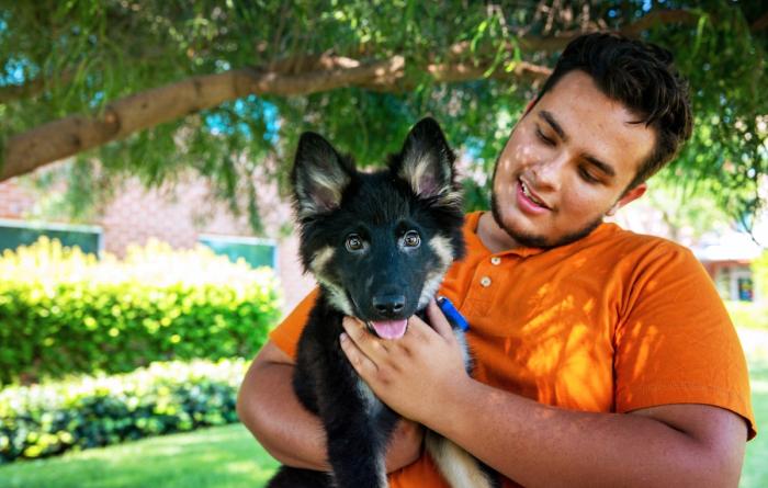 Person holding a puppy outside in the shade of a tree
