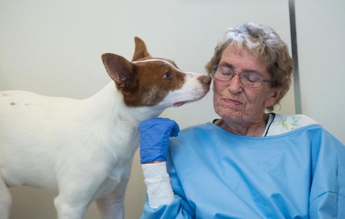 Dog sniffing the side of volunteer Betty Grieb's face