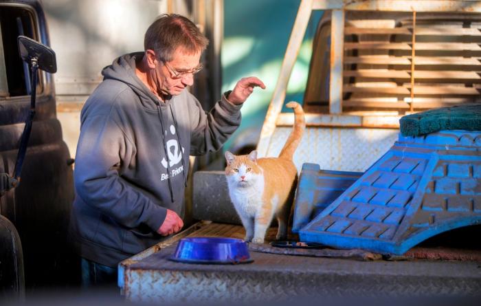 Person caring for a cat outdoors