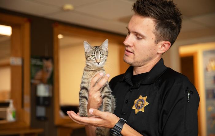 Animal Control Officer holding a tabby kitten in his hands
