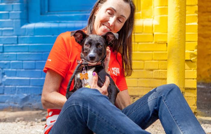 Person sitting with an adoptable dog on the curb in SoHo in New York City