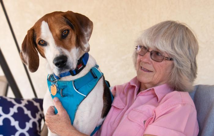 Person sitting with a dog on a couch