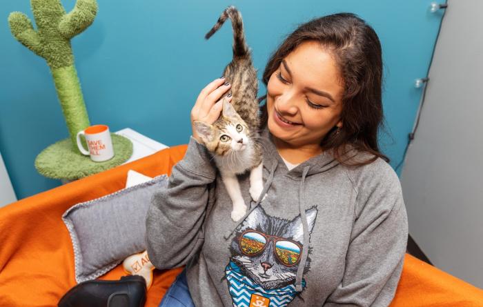 Smiling person petting a tiny kitten on their shoulder