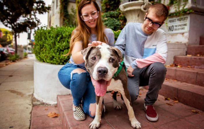 Two smiling people sitting with a happy dog outside on a front step