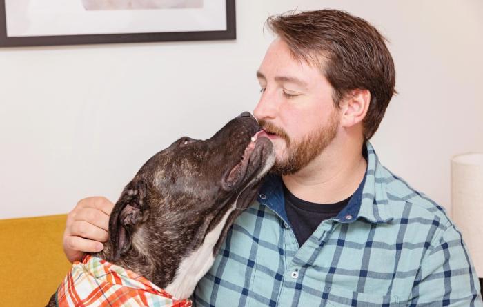 Henrietta the dog giving a kiss to a person wearing a plaid shirt