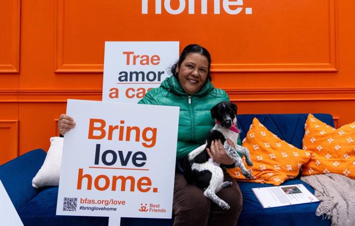 Person and dog on a couch with person holding a sign that says, "Bring love home."