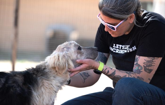 Huckleberry the puppy receiving a pet from a caregiver