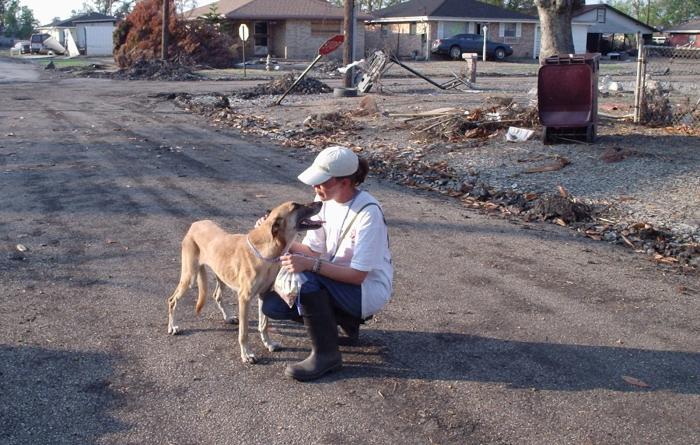 Picking up a dog who had been on her own in an evacuated neighborhood for weeks after the storm hit. She was later reunited with her family.