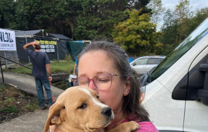 Person holding a puppy in front of a transport vehicle