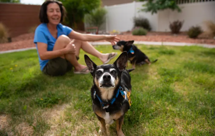 Smiling person sitting in a backyard with two small dogs
