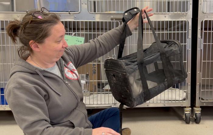 Person holding Mirage the cat's carrier