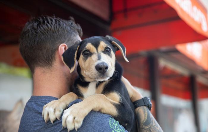 Person holding a puppy over this shoulder