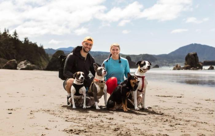 Josh and Noël Voigt with their four dogs