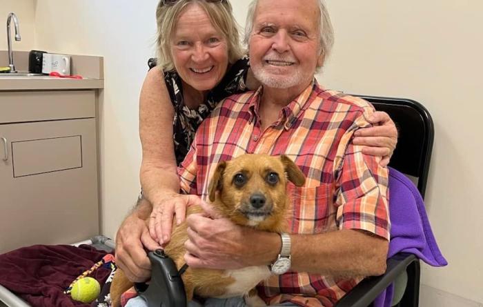 Small dog being adopted from MSPCA–Angell
