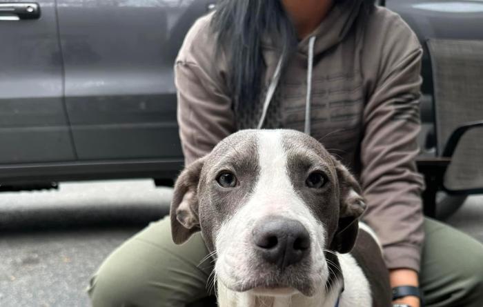 Pluto the puppy with someone sitting behind him