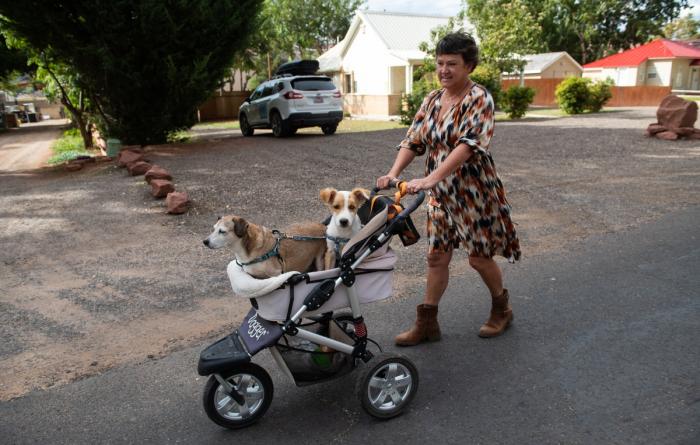 Karen pushing Halo and Cooper in the stroller