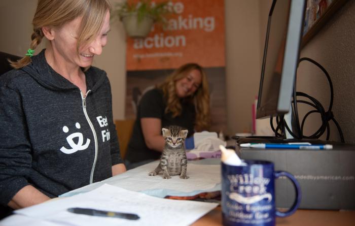 One of the dragon kittens on a pad on a desk while Kat and Erin the caregivers smile