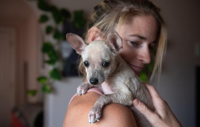 King Julian the dog being held over her shoulder by Kate