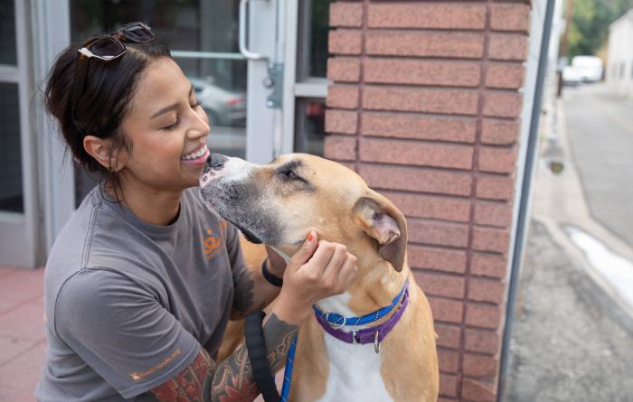 Person petting a tan and white dog who was part of the transport from Texas after the floods