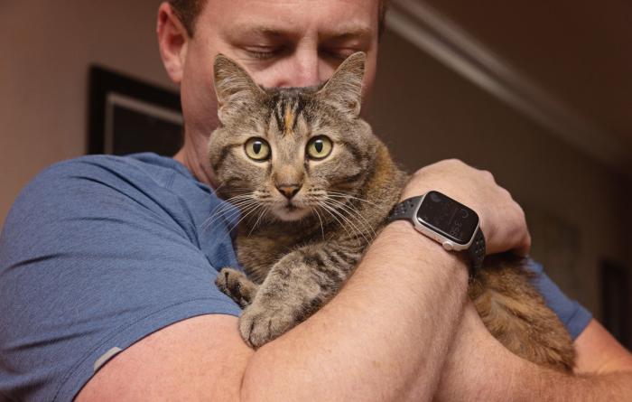 Man hugging a tabby cat