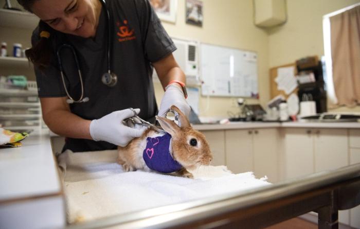 Marilyn Bunroe getting a bandage change