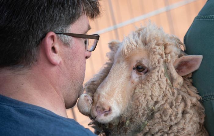 Josie the sheep with Matt