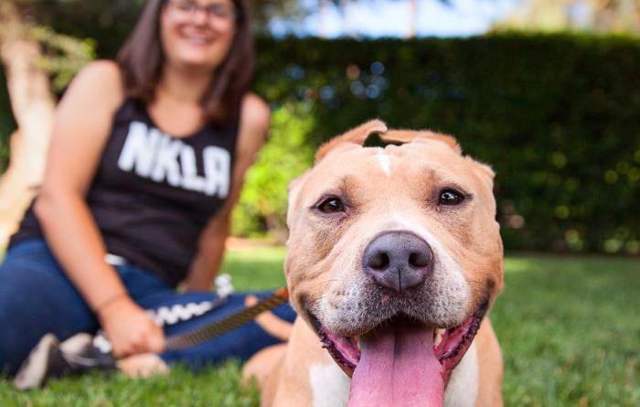 Person sitting with a happy dog in a grassy area playing with a ball