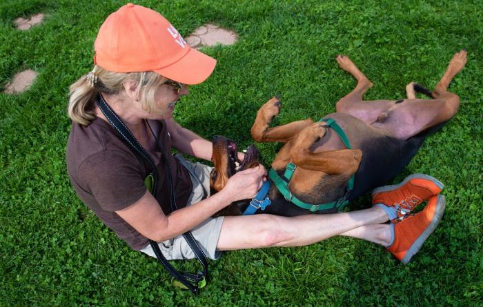 Person wearing a hat petting a dog lying upside-down on some grass
