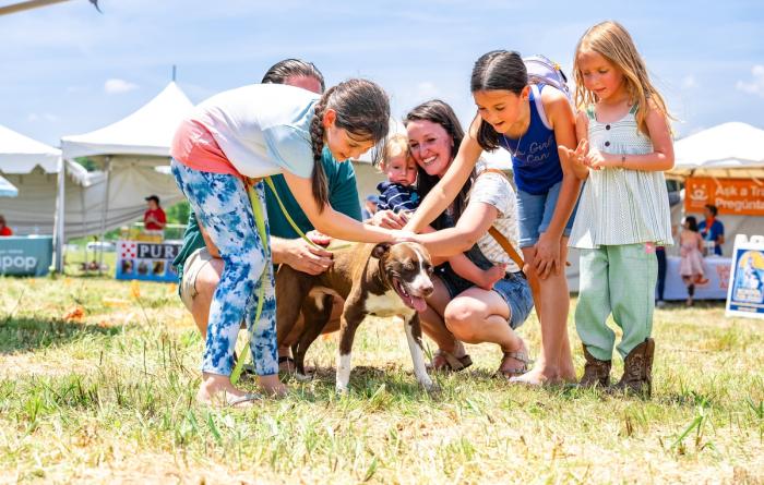 Group of people all reaching down to pet a dog at the Best Friends Super Adoption in Northwest Arkansas