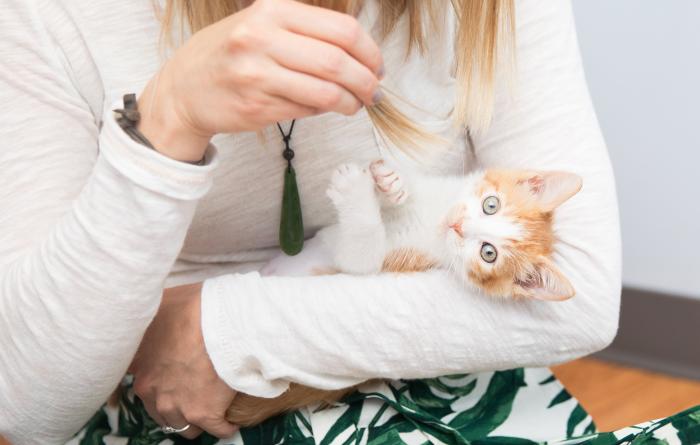 Person cradling an orange and white kitten and using her long hair as a toy